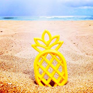 Logan & Alice Teether - Pineapple