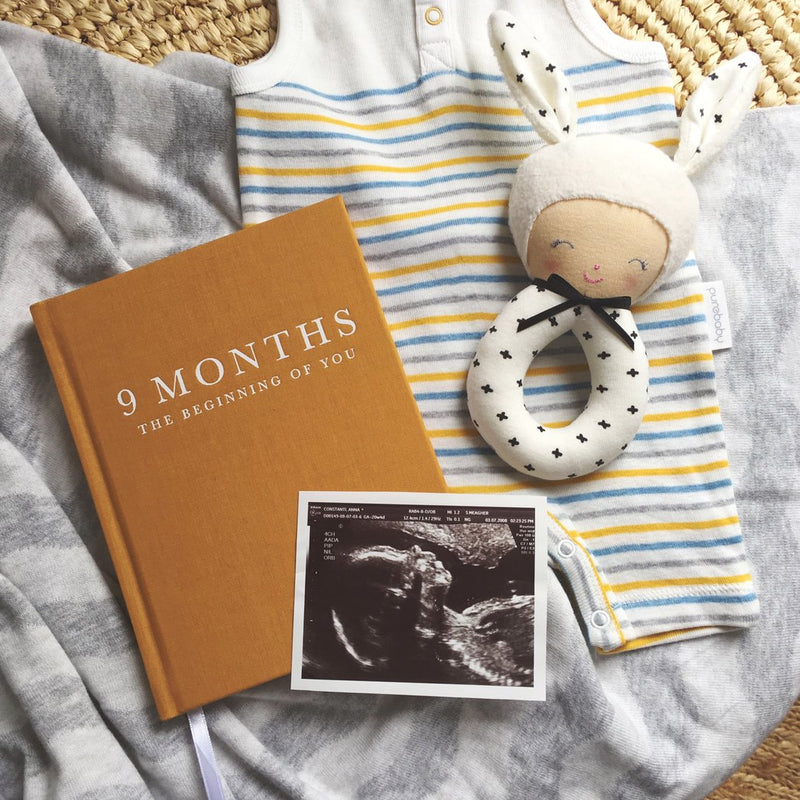 Write to me 9 Months - Pregnancy Journal