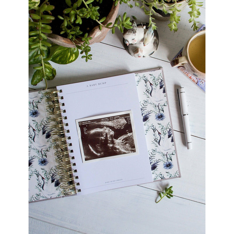 Write To Me Bump A Pregnancy Story
