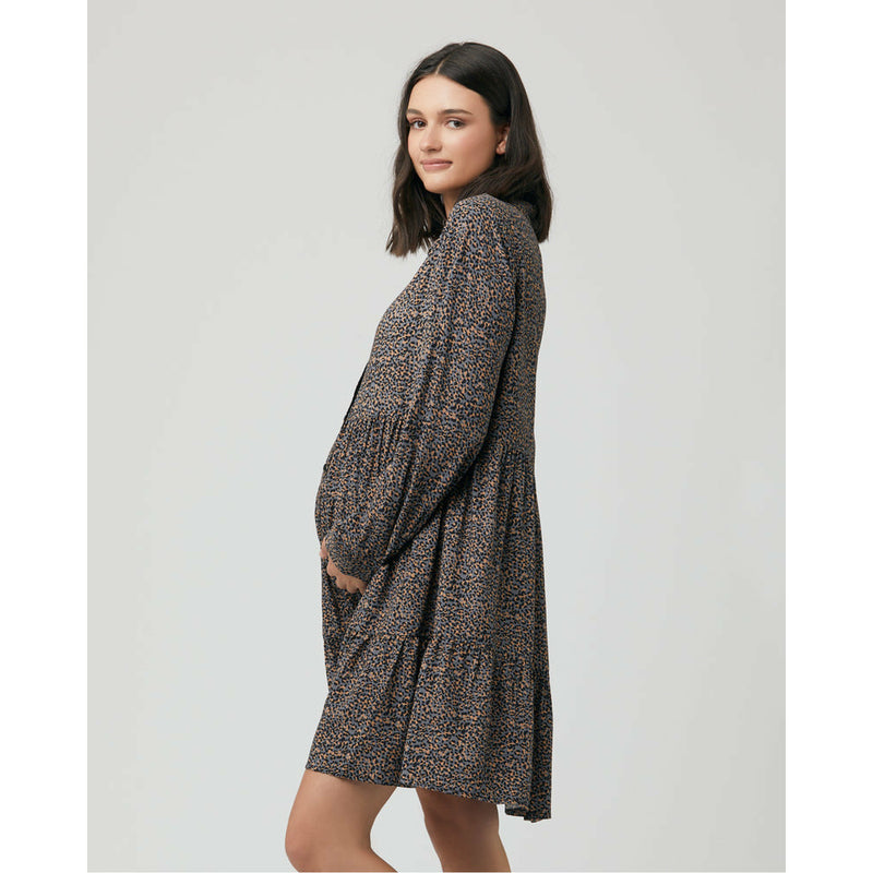 Ripe Abbey Button Through Dress Slate
