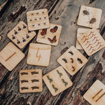 5 Little Bears Australian Bug Counting Tiles