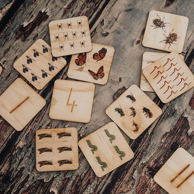 5 Little Bears Australian Bug Counting Tiles