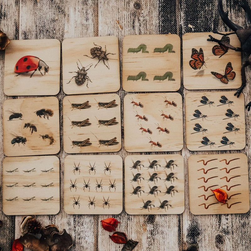 5 Little Bears Australian Bug Counting Tiles