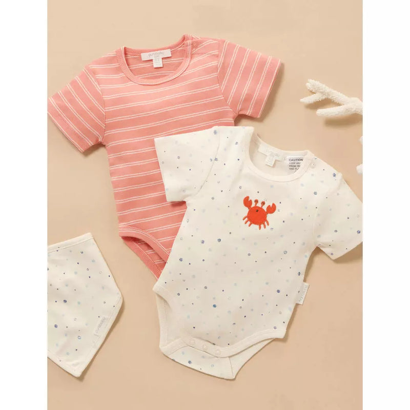 Purebaby Bodysuit set