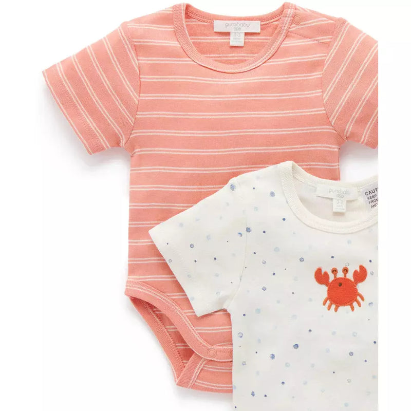 Purebaby Bodysuit set